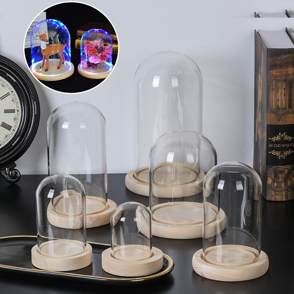 Vase Decor - Wohndekor Pflanzen im Glas Terrarium Glasvase