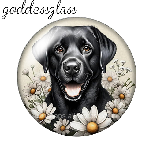 ‌ Niedliche Hunde unter den Bl – Vase Decor Bewertung und Preis