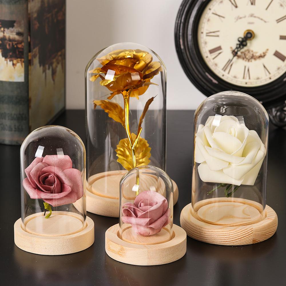 Wohndekor Pflanzen im Glas Ter – Vase Decor Bewertung und Preis