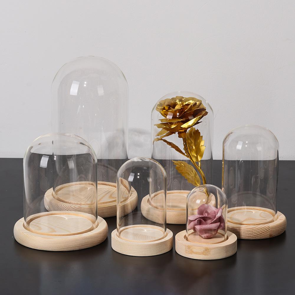 Wohndekor Pflanzen im Glas Ter – Vase Decor Bewertung und Preis