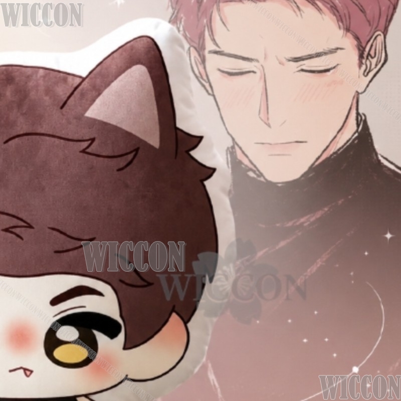 Ao Yin Valko Dekokissen Kawaii – Throw Pillow Bewertung und Preis